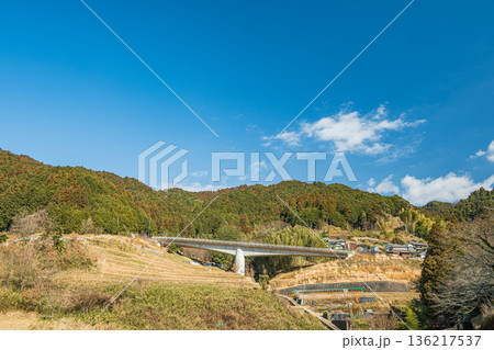 明日香村上(かむら)地区の棚田風景ときつわき橋 奈良県 明日香村上(かむら)地区の棚田風景ときつわき橋 奈良県 136217537