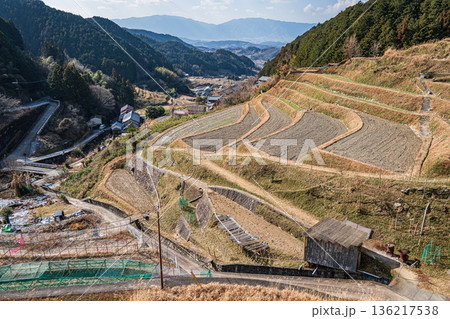 明日香村上（かむら）地区の棚田風景　奈良県 136217538