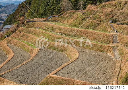 明日香村上（かむら）地区の棚田風景　奈良県 136217542