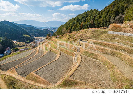 明日香村上（かむら）地区の棚田風景　奈良県 136217545
