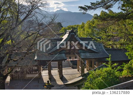 正月の装いをした和霊神社 正月の装いをした和霊神社 136217880