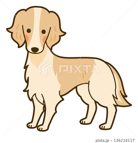 ボルゾイのイラスト 136218117