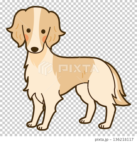 ボルゾイのイラスト 136218117