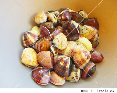 潮干狩りで集めたたくさんのハマグリの風景 136218183