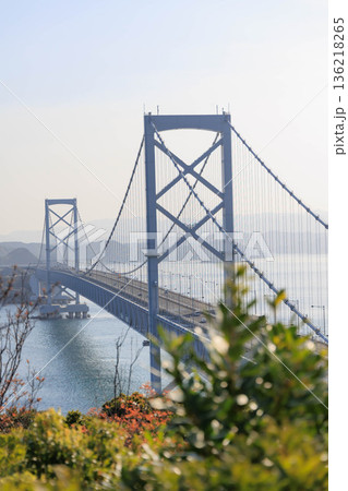 徳島県鳴門市 大鳴門橋 徳島県鳴門市 大鳴門橋 136218265
