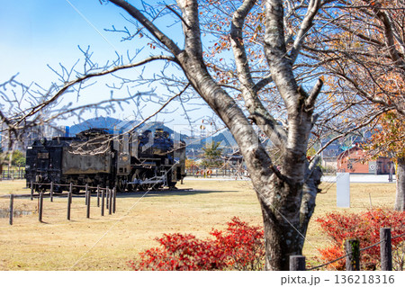 豊後森機関庫と紅葉 豊後森機関庫と紅葉 136218316