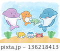 イルカの親子と海の仲間たちの水彩風イラスト 136218413
