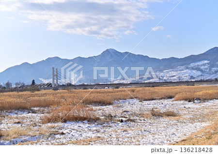 雪とススキの穂で覆われた千曲川からの冬景色 雪とススキの穂で覆われた千曲川からの冬景色 136218428
