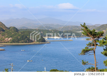 大鳴門橋から見た桜の咲く大毛島　徳島県鳴門市 136218519