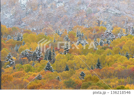 山裾の紅葉と雪 136218546