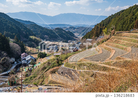 明日香村上(かむら)地区の棚田風景 奈良県 明日香村上(かむら)地区の棚田風景 奈良県 136218683
