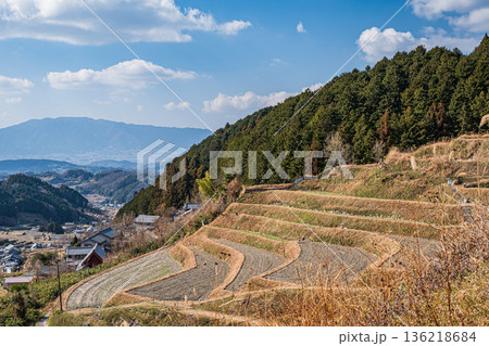 明日香村上(かむら)地区の棚田風景 奈良県 明日香村上(かむら)地区の棚田風景 奈良県 136218684