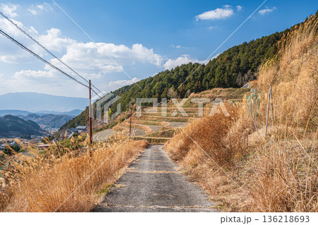 明日香村上（かむら）地区の農道　奈良県 136218693