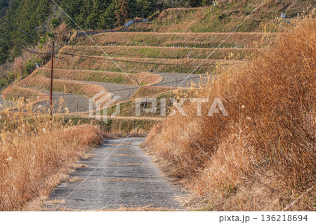 明日香村上（かむら）地区の農道　奈良県 136218694