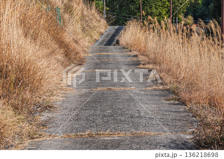 明日香村上（かむら）地区の農道　奈良県 136218698