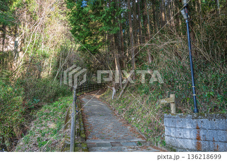 明日香村　談山神社へ続く山道　奈良県 136218699