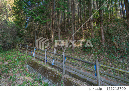 明日香村 談山神社へ続く山道 奈良県 明日香村 談山神社へ続く山道 奈良県 136218700