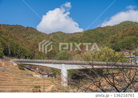 明日香村上（かむら）地区の棚田風景ときつわき橋　奈良県 136218701
