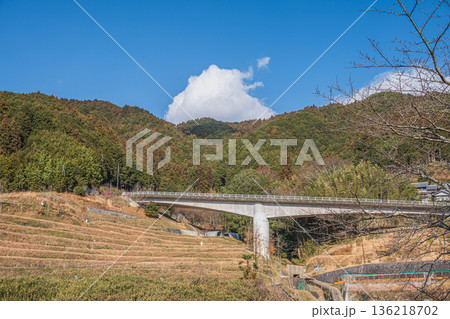 明日香村上（かむら）地区の棚田風景ときつわき橋　奈良県 136218702
