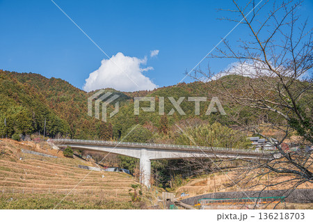 明日香村上(かむら)地区の棚田風景ときつわき橋 奈良県 明日香村上(かむら)地区の棚田風景ときつわき橋 奈良県 136218703