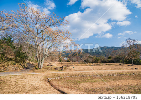 石舞台古墳芝生広場　奈良県明日香村 136218705