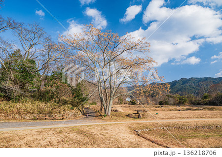 石舞台古墳芝生広場 奈良県明日香村 石舞台古墳芝生広場 奈良県明日香村 136218706