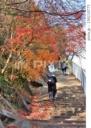 湯本温泉御幸山公園の紅葉 湯本温泉御幸山公園の紅葉 136218775