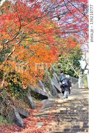 湯本温泉御幸山公園の紅葉 136218777
