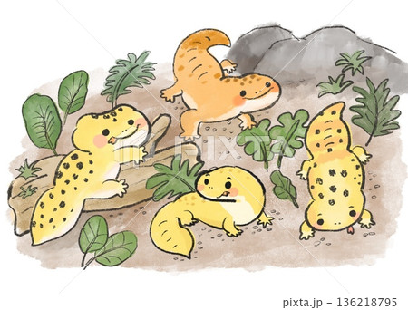 ヒョウモントカゲモドキの水彩風イラスト 136218795