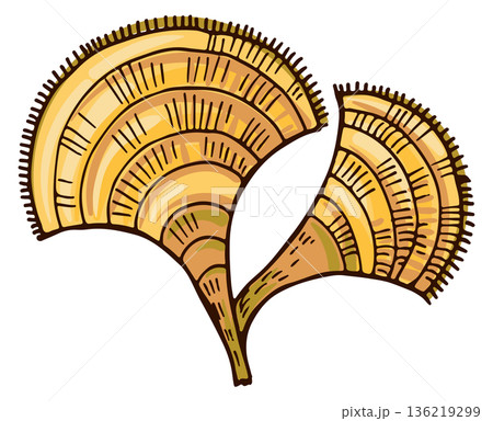 Brown alga drawing. Aquarium botany color icon 136219299