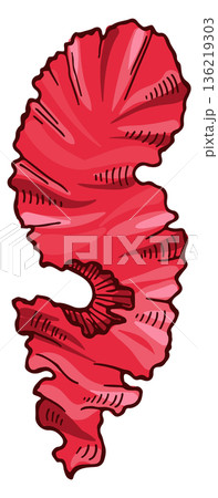 Red lettuce icon. Marine seaweed color drawing Red lettuce icon. Marine seaweed color drawing 136219303