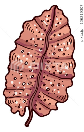 Brown underwater leaf. Sea botany. Flora drawing 136219307