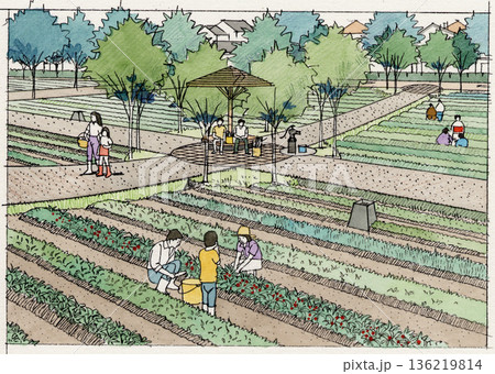 家族で収穫を楽しむ家庭菜園、農業公園 家族で収穫を楽しむ家庭菜園、農業公園 136219814
