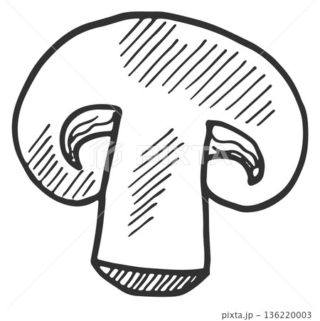 Sliced mushroom doodle. Cooking hand drawn ingredient Sliced mushroom doodle. Cooking hand drawn ingredient 136220003