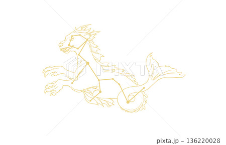 ゴールド色のくじら座の線画イラスト(くじらの絵と星座線、線のみで塗りなし) ゴールド色のくじら座の線画イラスト(くじらの絵と星座線、線のみで塗りなし) 136220028