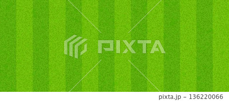Grass field background concept. Abstract green turf texture. Artificial sport field surface design for football, baseball, soccer game. Textured fake golf lawn ground wallpaper. Vector illustration Grass field background concept. Abstract green turf texture. Artificial sport field surface design for football, baseball, soccer game. Textured fake golf lawn ground wallpaper. Vector illustration 136220066