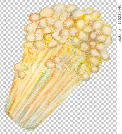 えのきのイラスト オイルパステル画 136220440