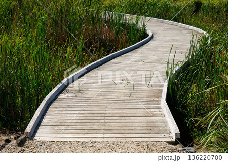 Screw Creek Nature Walk - Inverloch 136220700