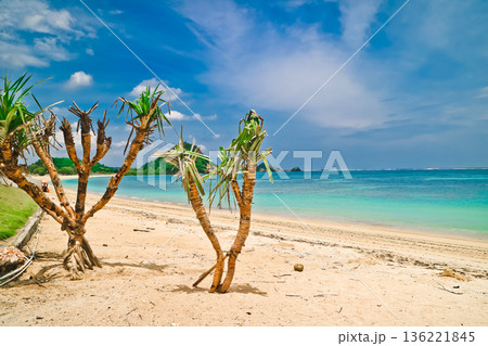 Beautiful view of white sand beach on tropical island, Mandalika beach, Lombok, Indonesia 136221845