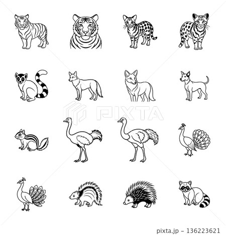 Animal outline illustrations collection with tiger lemur fox and peacock 136223621