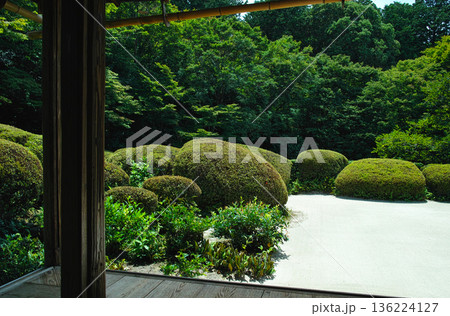 夏の京都、日本庭園に広がる深緑と枯山水 136224127