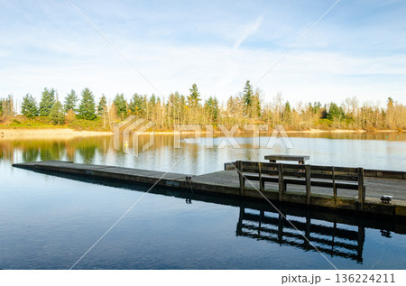 Albert Dyck Lake, also known as Molson Lake - a man-made lake and popular park in Abbotsford, British Columbia 136224211