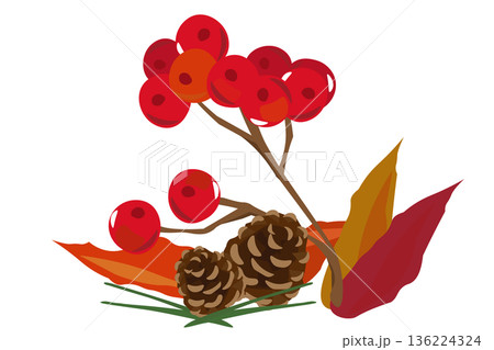 ナナカマドと松ぼっくりでデザインした秋のイラスト 136224324