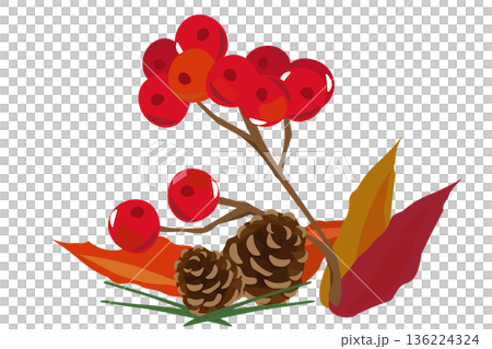 ナナカマドと松ぼっくりでデザインした秋のイラスト 136224324