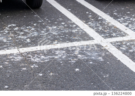 鳥の糞害がひどい駐車場 鳥の糞害がひどい駐車場 136224800