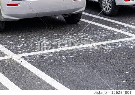鳥の糞害がひどい駐車場 136224801