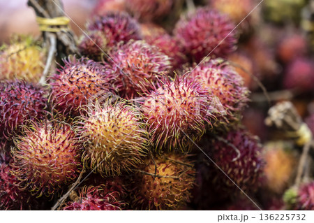 Market scene with bright red rambutans on display. Vivid closeup of clustered red rambutans emphasizing spiny texture and lively colors 136225732