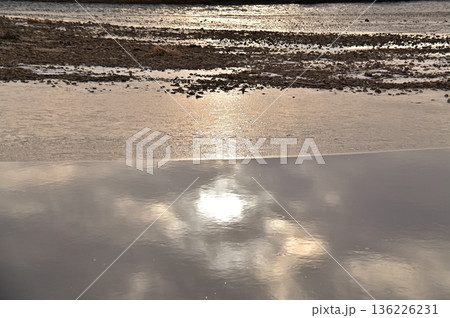 朝の光に輝く川面の水鏡 朝の光に輝く川面の水鏡 136226231