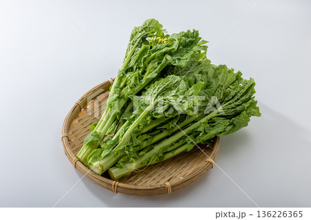 菜の花 菜の花 136226365