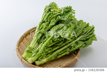 菜の花 菜の花 136226366